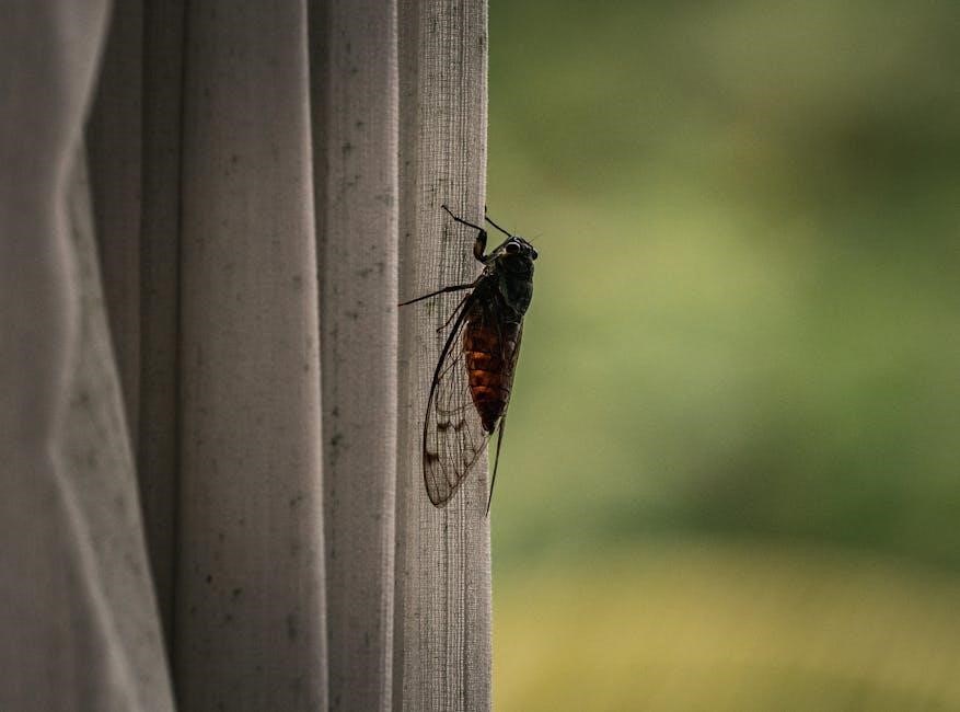 bls provider manual 2020 pdf free download